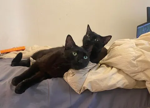 I love my boys more than anything in the world