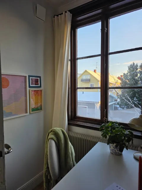 Woke up to a snowy view today