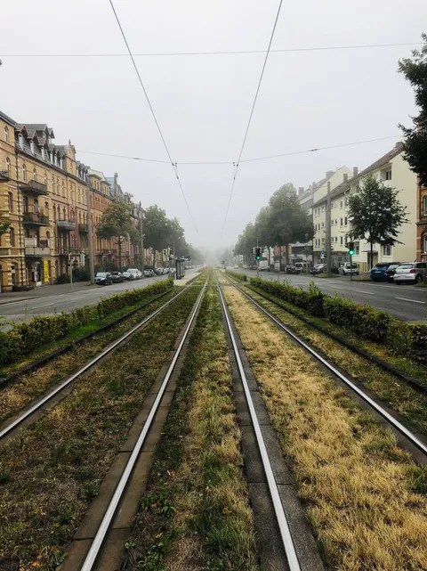 Trying to get into photography but I don’t have a camera yet. Taken with my Iphone 8.