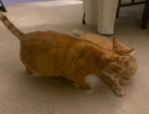 Real image of how Titanic crashed an ice berg