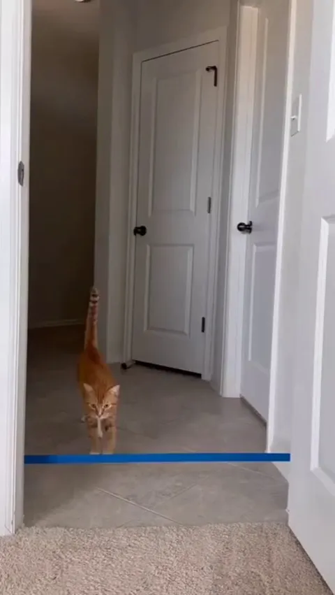 The moment where he calculates.