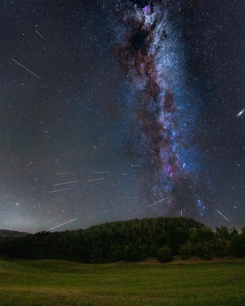 Perseids