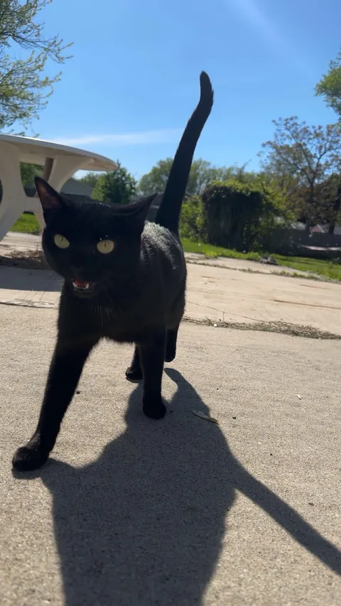 Shelter told us Luna was born there and wasn’t adopted for 7 years - now she and I spend every minute together