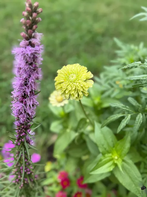 First garden (UPDATE)