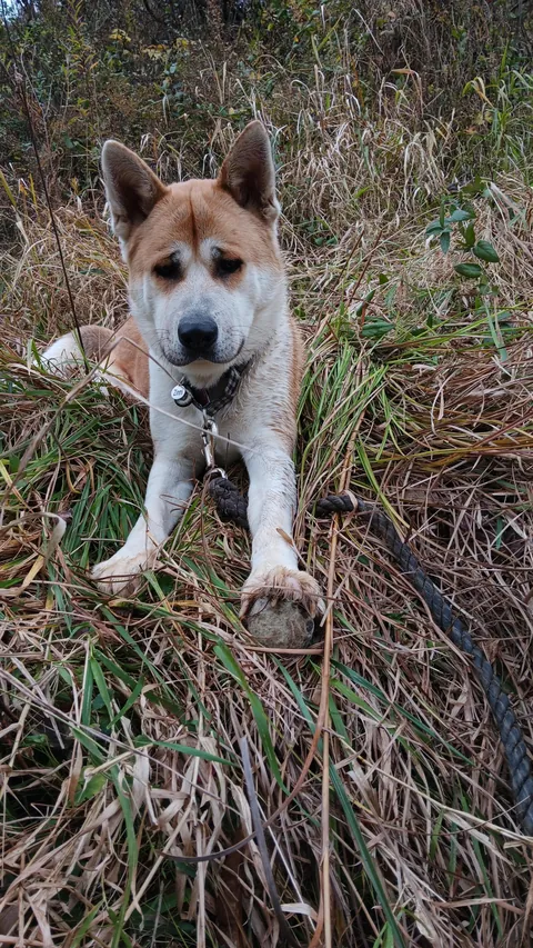 [OC]He saved the ball ...but couldn't save himself.