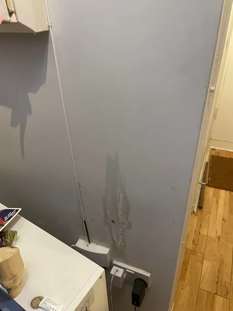 Anyone know what this it?