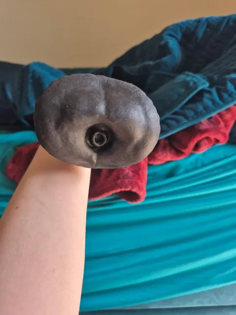 Exotic Erotics life cast equine dildo.