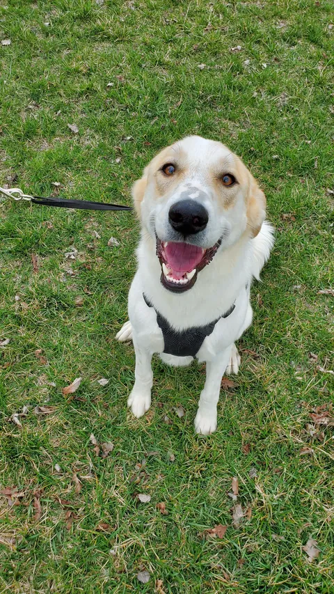 All I want is to spend the rest of my life with you