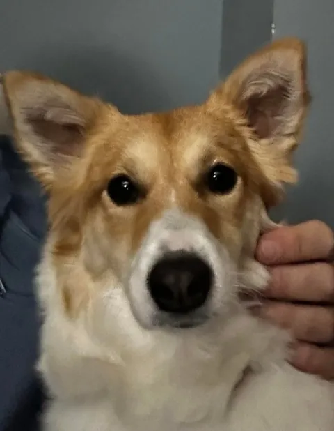 My tiny best friend