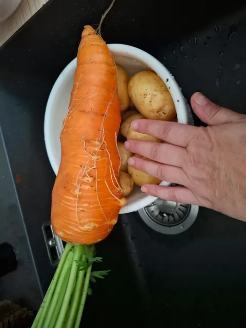 This is my 5th year gardening, adding one new thing every year, because... amateur. I decided to try carrots this year. I'm not disappointed 😂😂😂.