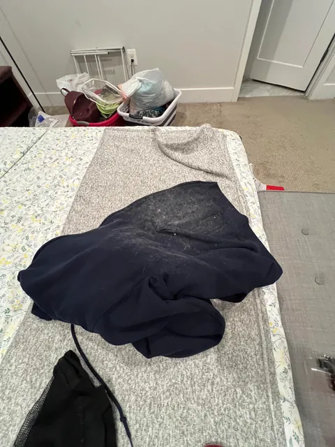 Left my sweater on my bed before going on vacation for two weeks. My poor little kitty has been patiently waiting there all these days