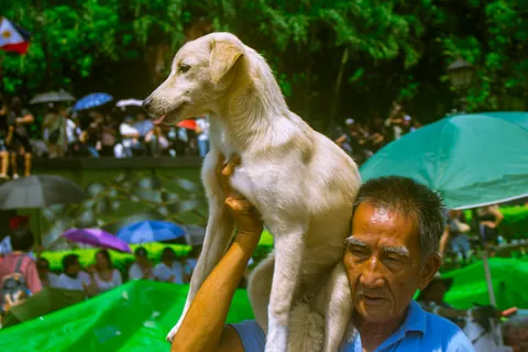 Some of the photos na napitik ko during Yung Lonita Rally and Ayala Bridge Riot (oc)