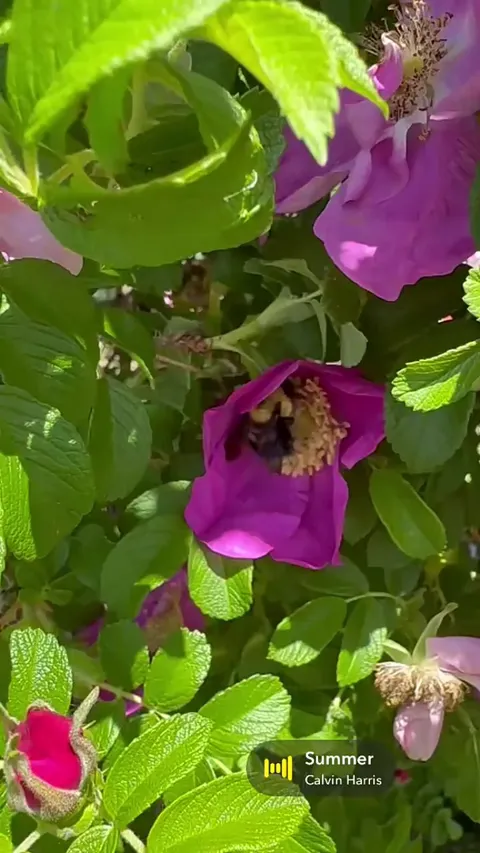 Move out of the way ❤️😂