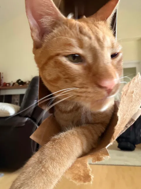 Check out my new suitcase