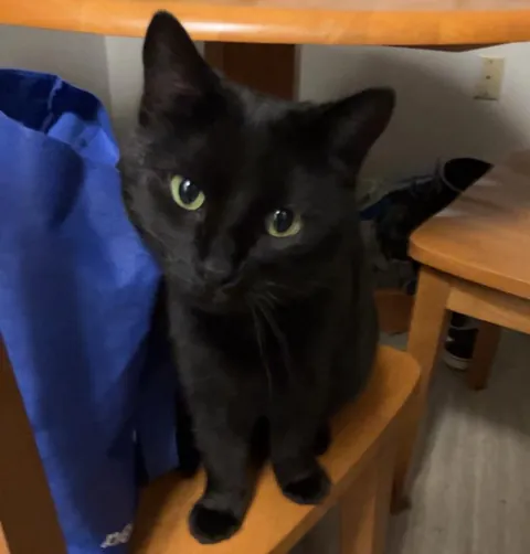 She was pet immediately this was taken rest assured