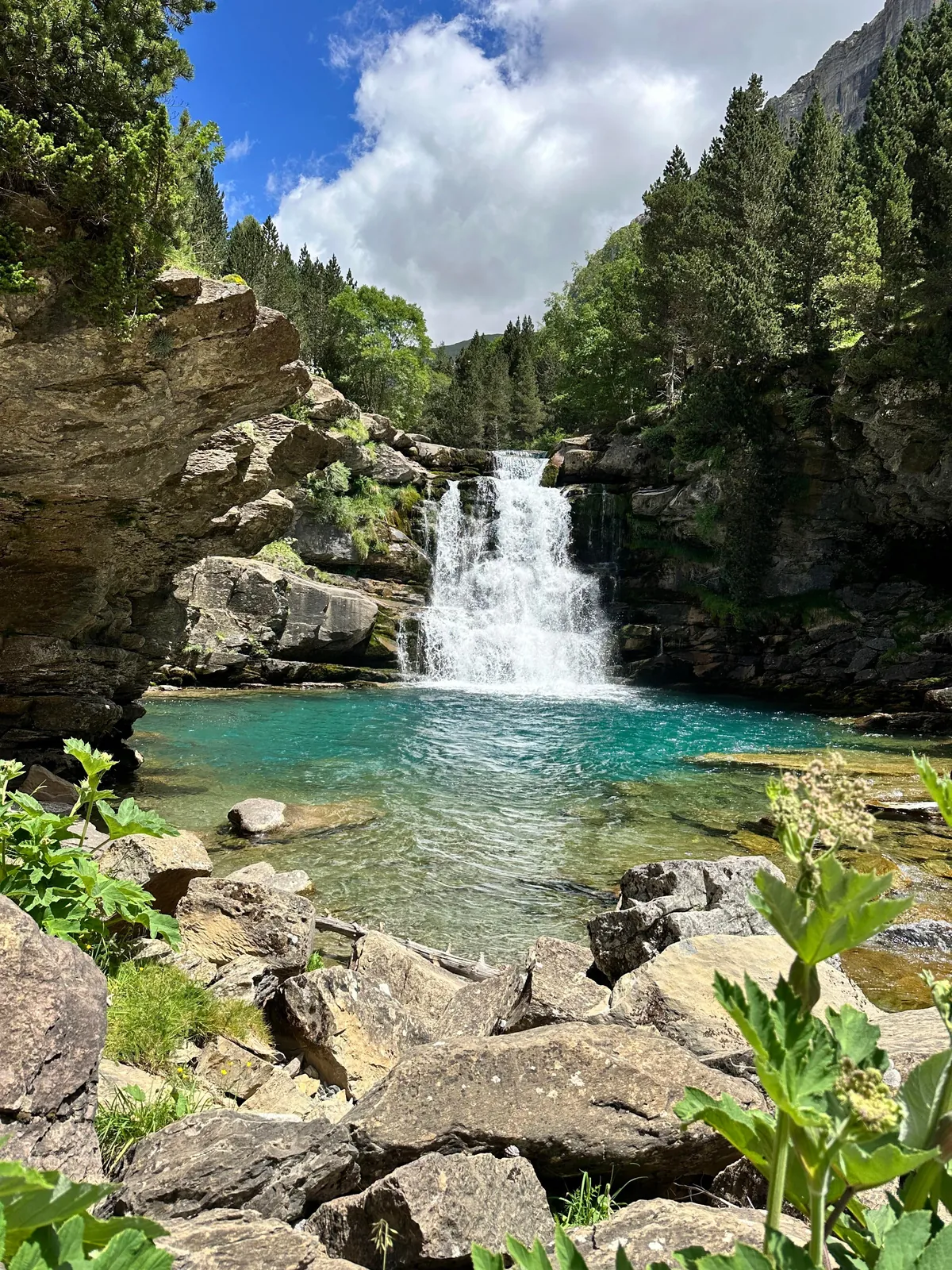 Just Chilling in the Nature (Spain)