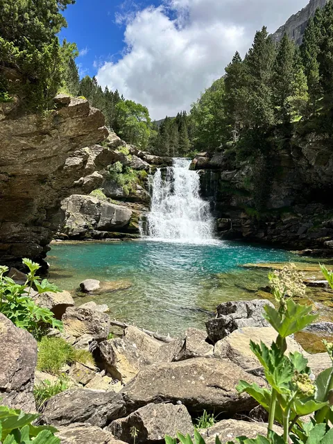 Just Chilling in the Nature (Spain)