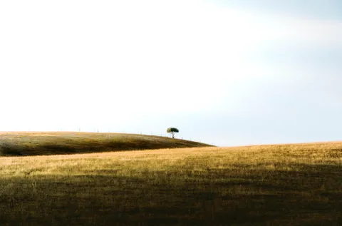 Is this interesting or too boring?