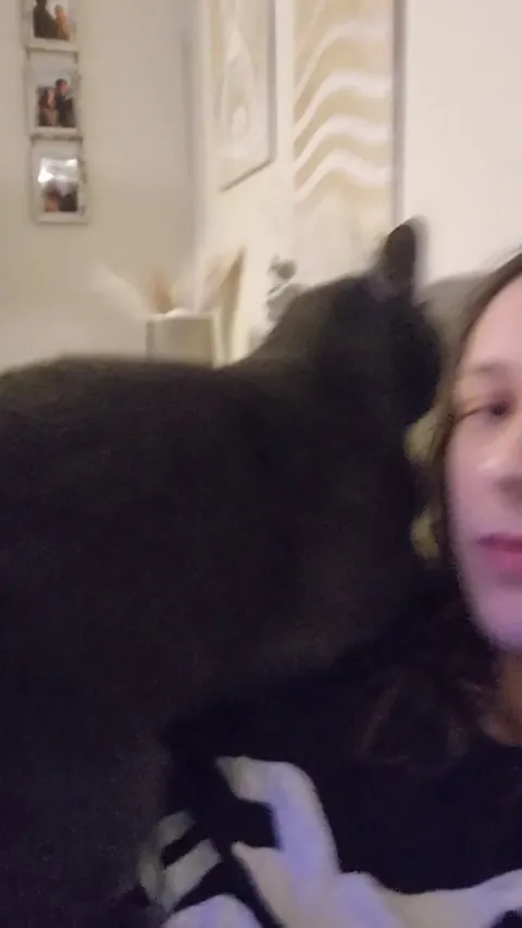 He randomly started cuddling me tonight, and being extremely affectionate. So weird for him! Sound on!