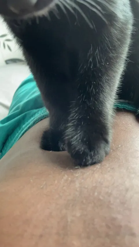 I’m new to cats my cat does this every morning is this normal?