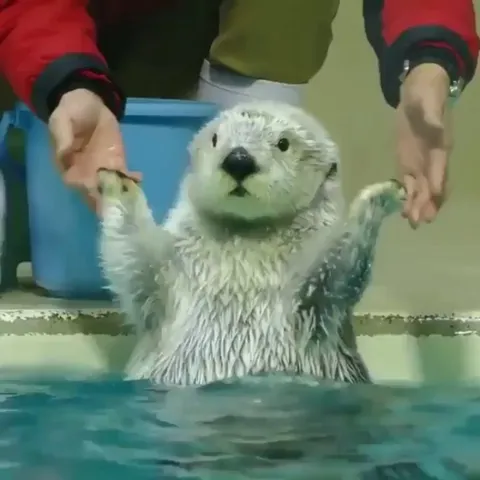 Ohh, oh my. I am so happy to be here!