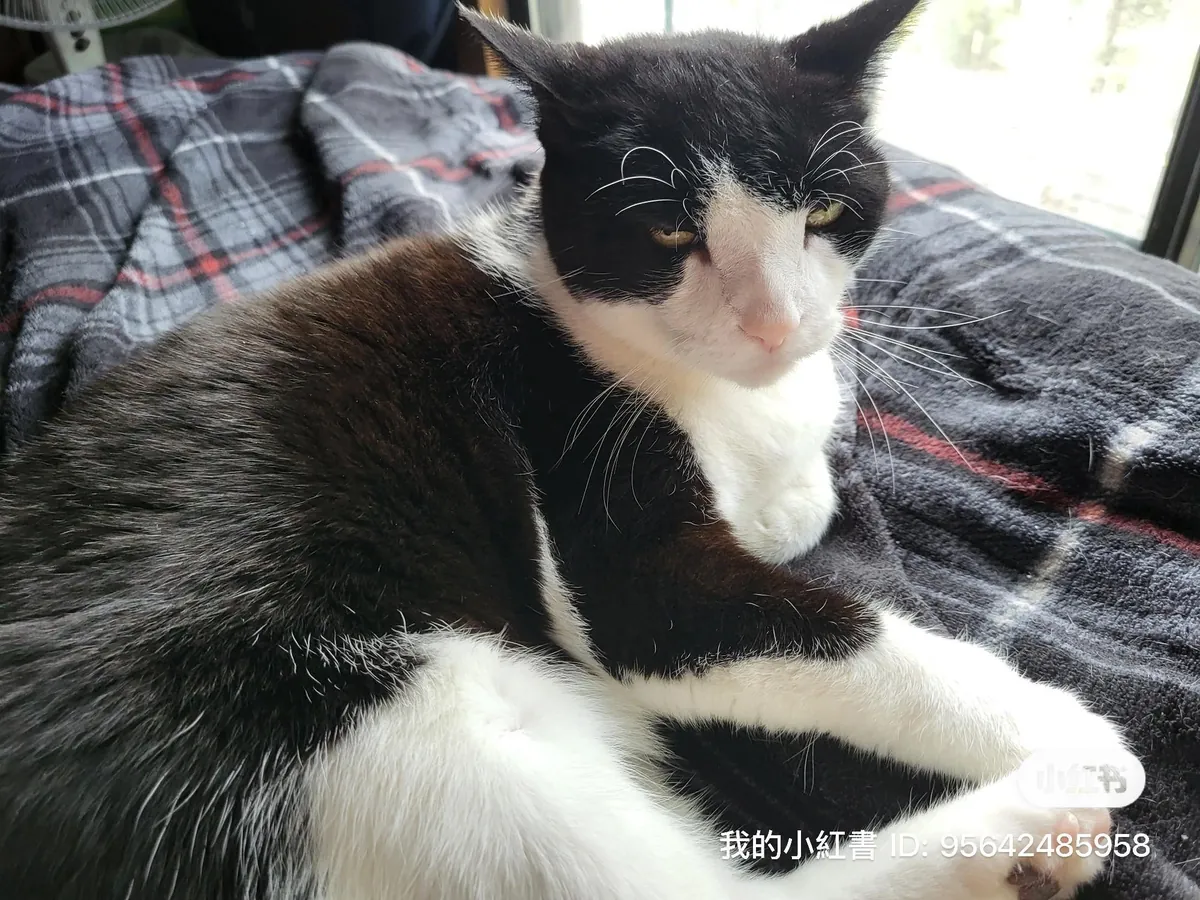 she was my best friend for 16 years…