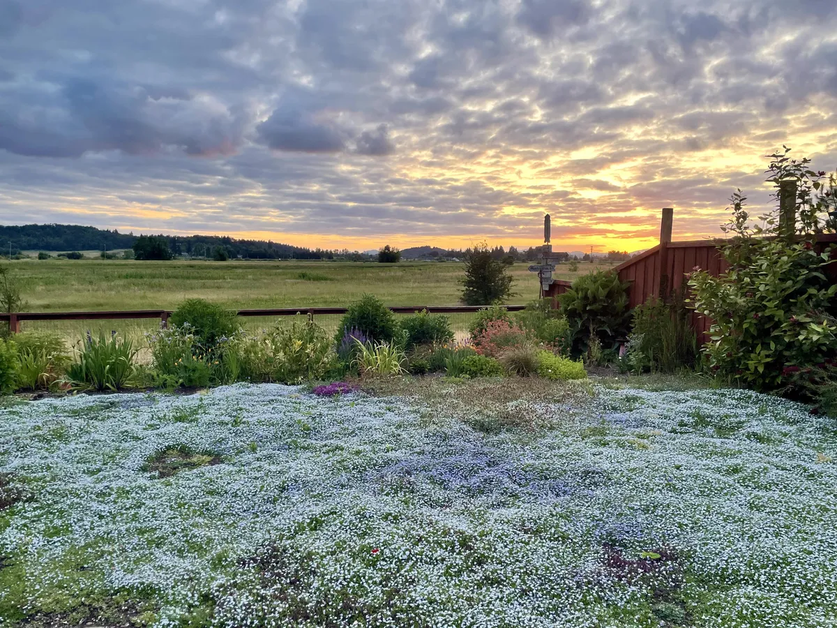 My mom’s new “grass”