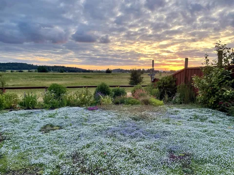 My mom’s new “grass”