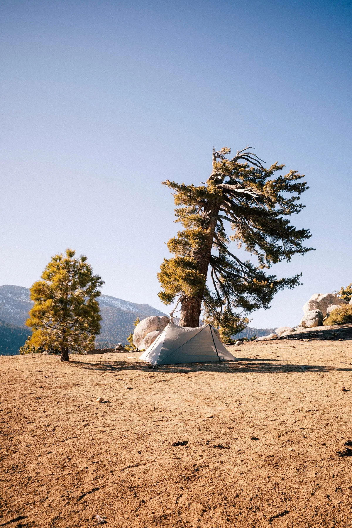 I hiked 2650 miles from Mexico to Canada on the Pacific Crest Trail