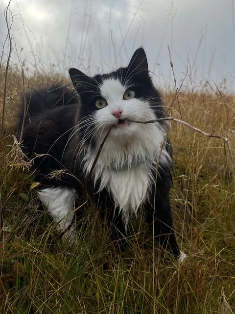 My boy doing a bit of Gardening