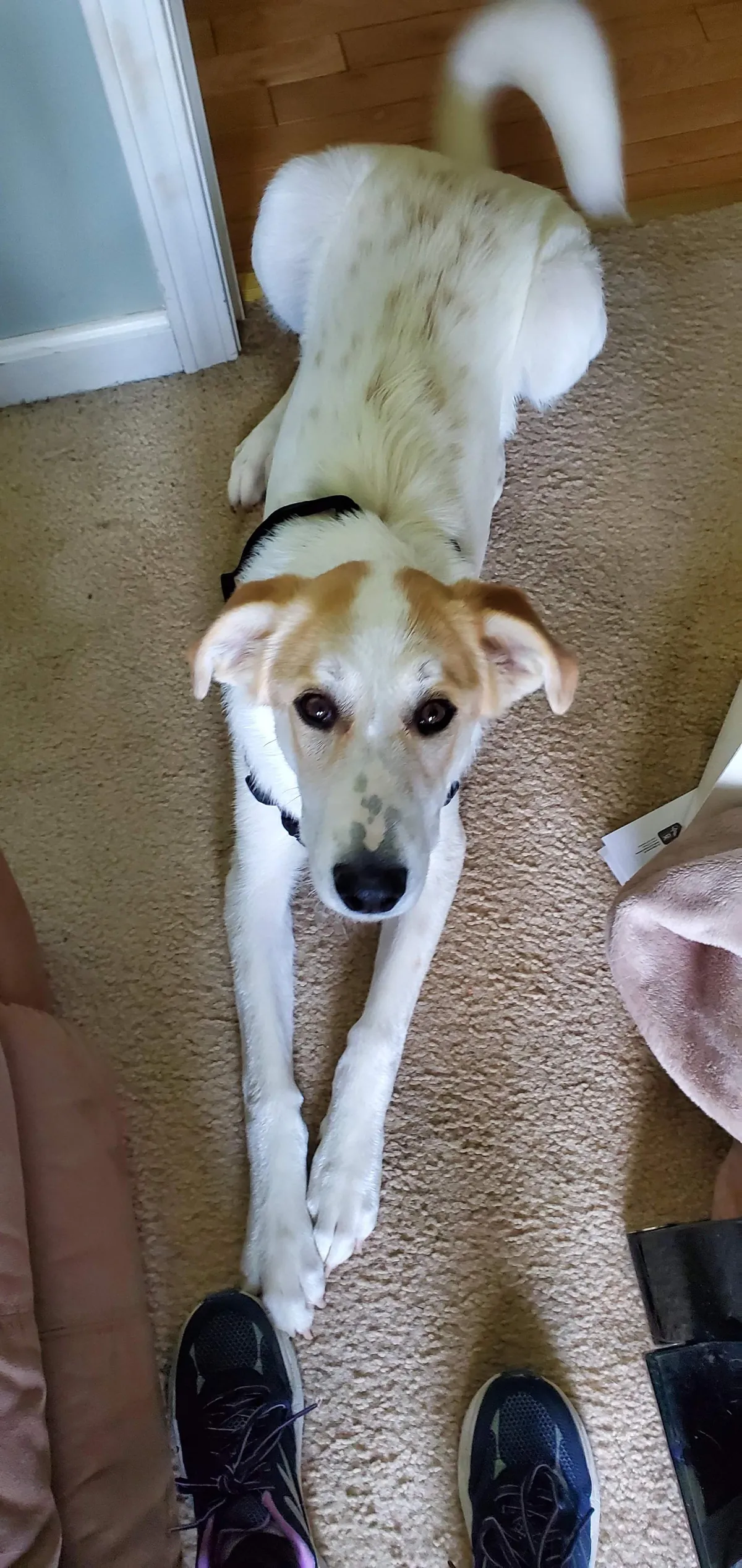 I love you baby. Always and forever