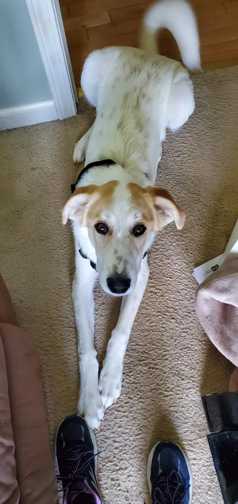 I love you baby. Always and forever