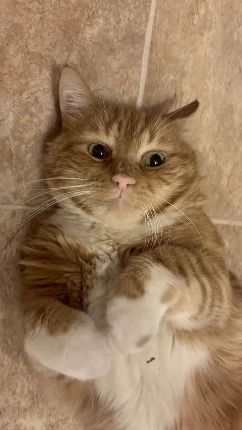 My usual pics of the sweetest boy ever