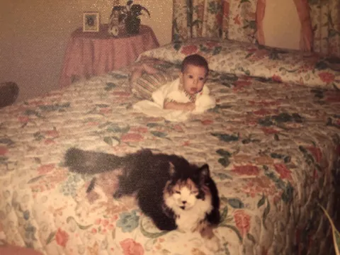 Me, three months old, prone on my parents' bed in Corona, California, with our feline calico queen, Maggie, protecting me, August 1975.