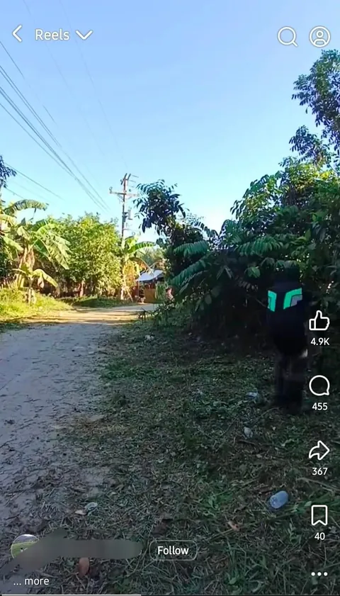 Let's appreciate the 'cleanfluencers '