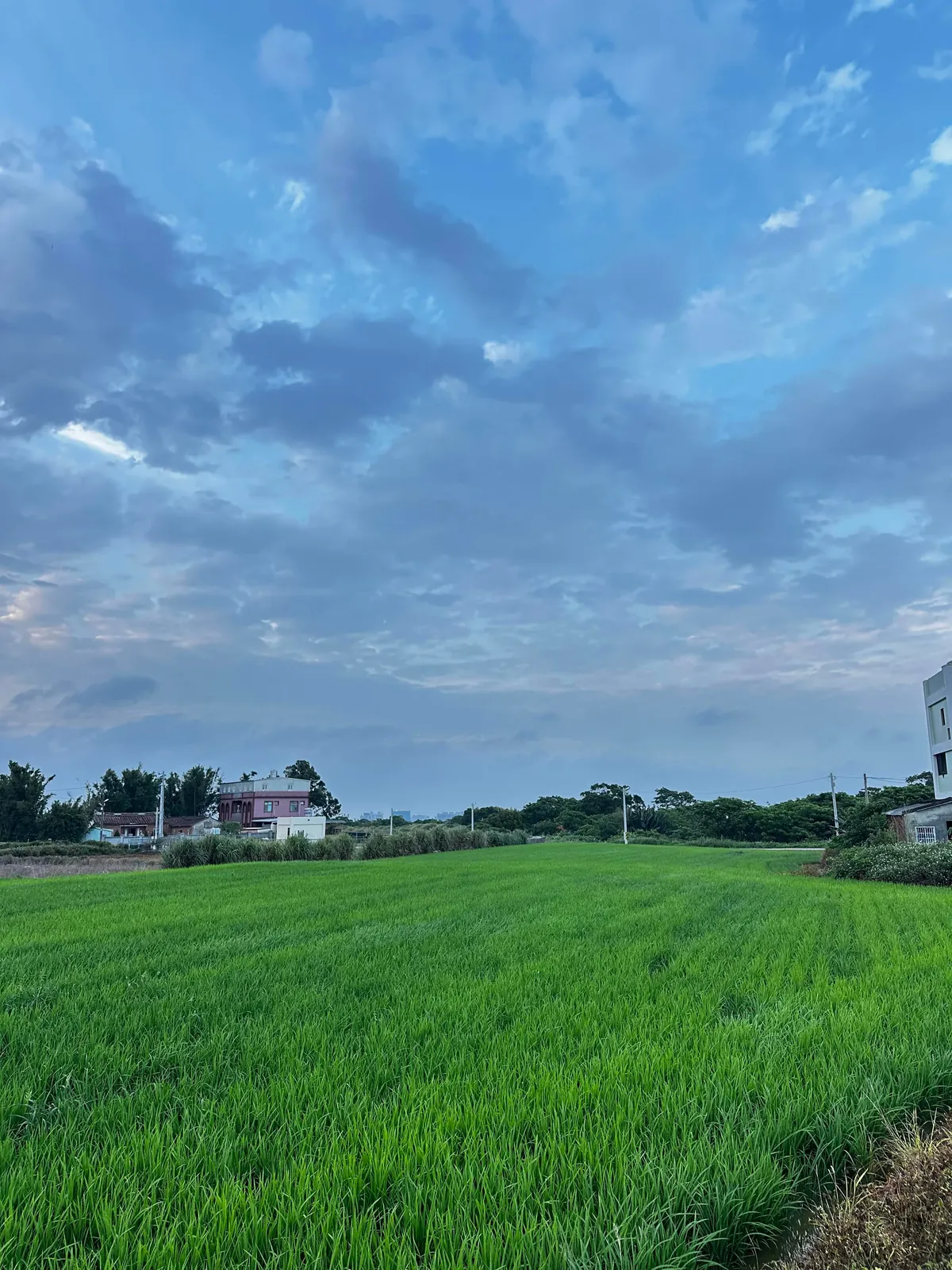 Taiwan blew us away- one of the most underrated hidden gem