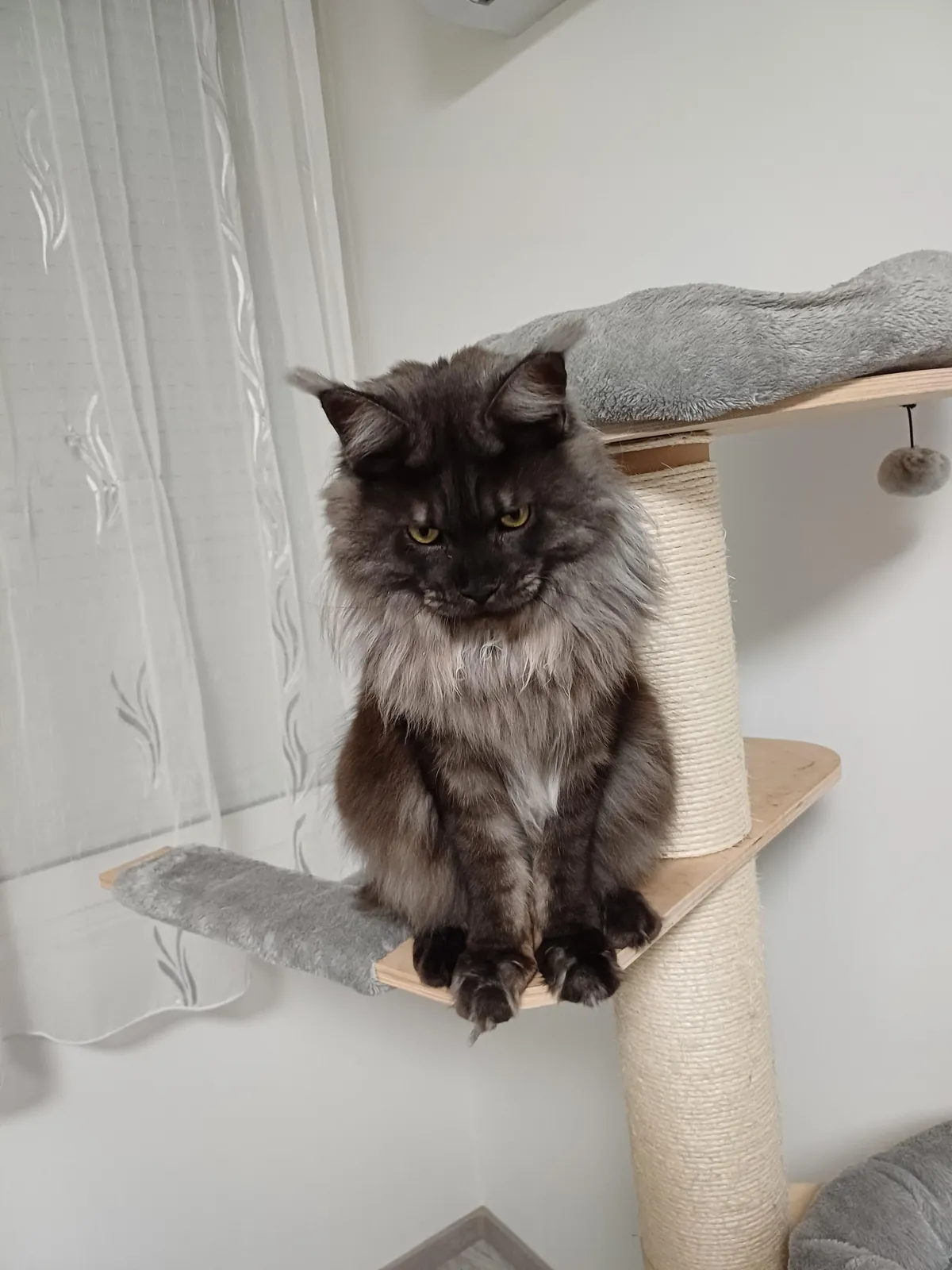 Hi reddit, it's Théoden. Did not see you for a long time