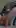Medium vs Large Demon Dick from BD 
