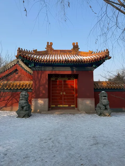 China, you were amazing!!