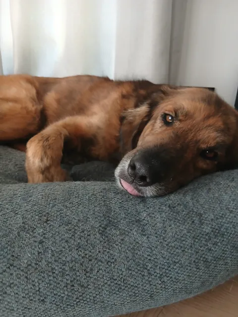 My girl Mandy (Mlemdy)