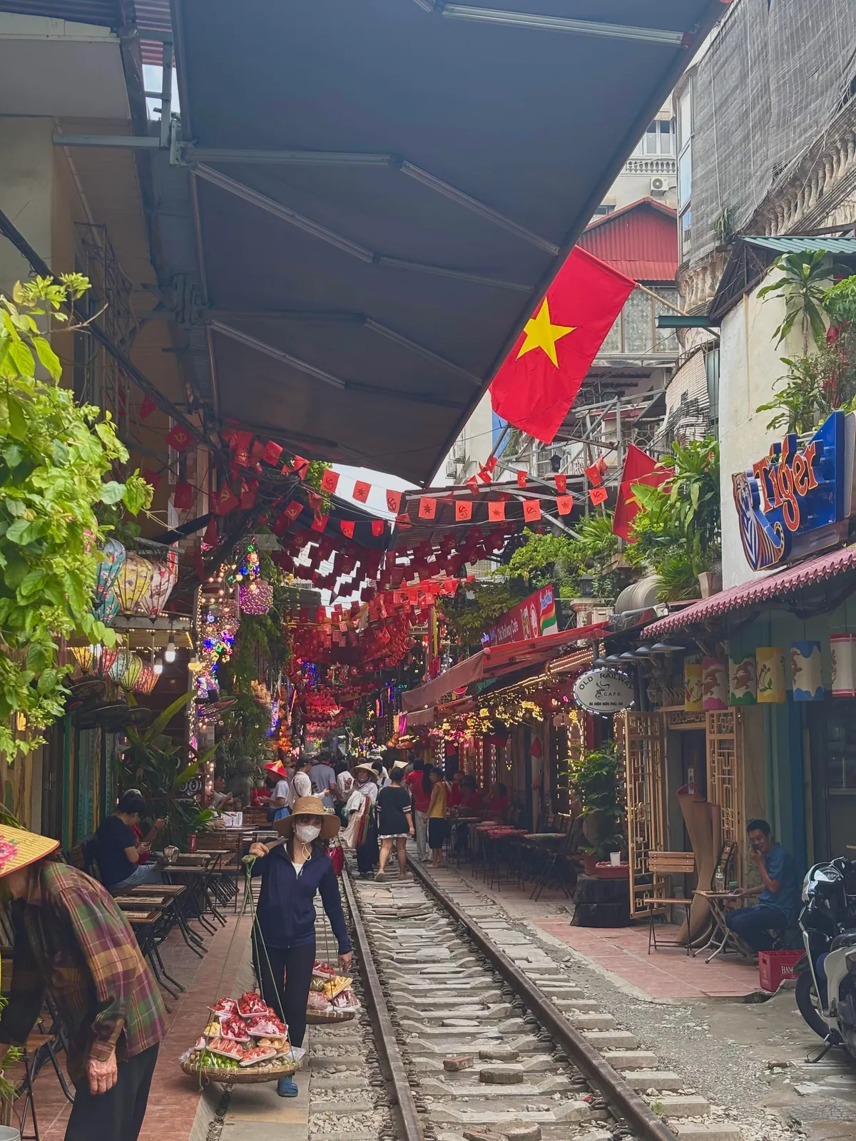 5 weeks in Vietnam 🇻🇳