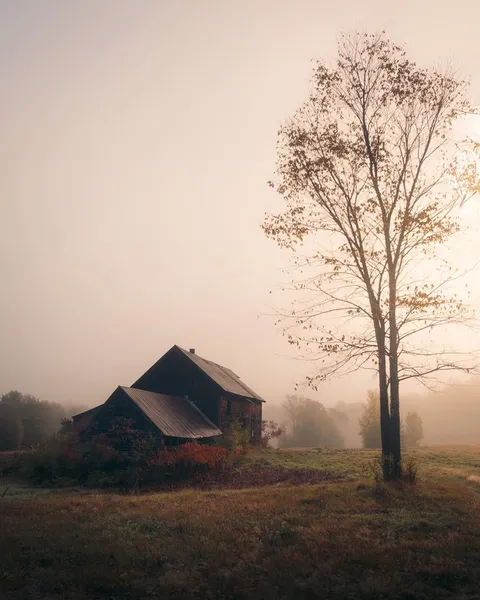 A barn on a foggy morning in NH