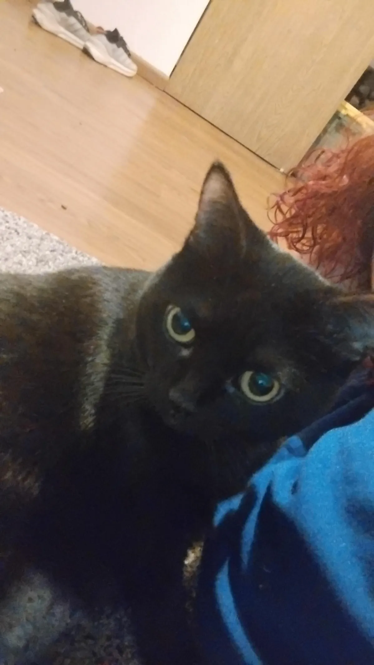 The post that changed my life and gave me my girl