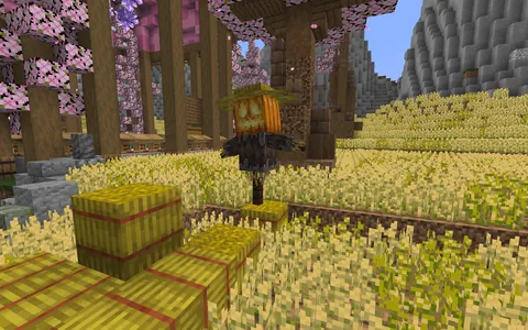 These models were made in 100% vanilla survival using command blocks