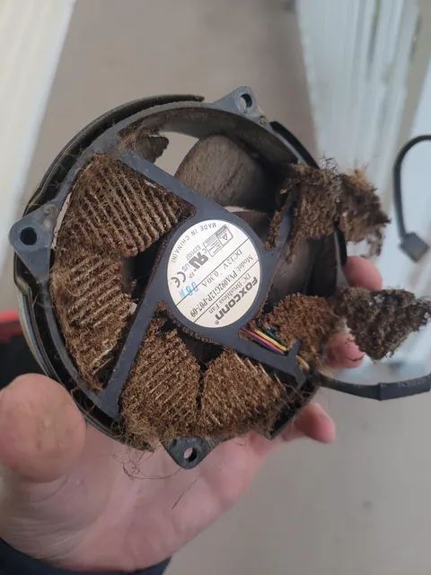 Friendly reminder to clean your PCs