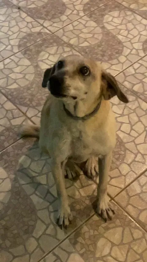 A treat before bed! ❤️