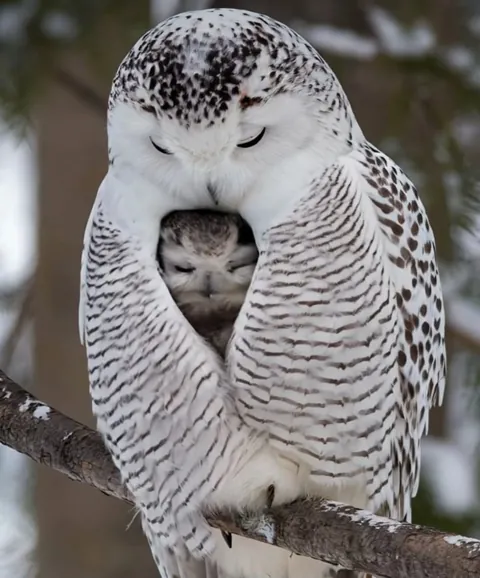 Nothing in nature is stronger than a mother