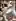 Dog Days (Jay Naylor) [MF]