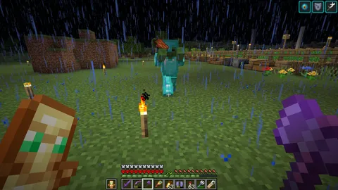 I found a full diamond zombie in my hardcore world