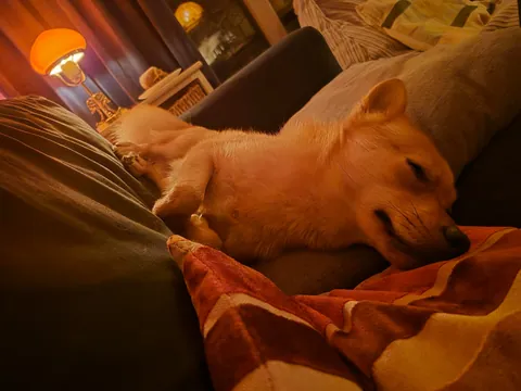 My bestest buddy Felix